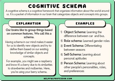 schema vochtmeting|object schema psychology.